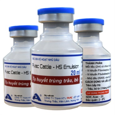 AVAC CATTLE - HS EMULSION
(Phòng bệnh Tụ huyết trùng Trâu, bò)
