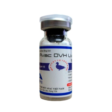 AVAC DVH LIVE
(Viêm gan vịt Serotype I)